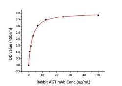Novus Biologicals Recombinant Human Serpin A8/Angiotensinogen His (C-Term) Protein 100 &mu;g | Buy Online | Novus Biologicals&trade; | Fisher Scientific